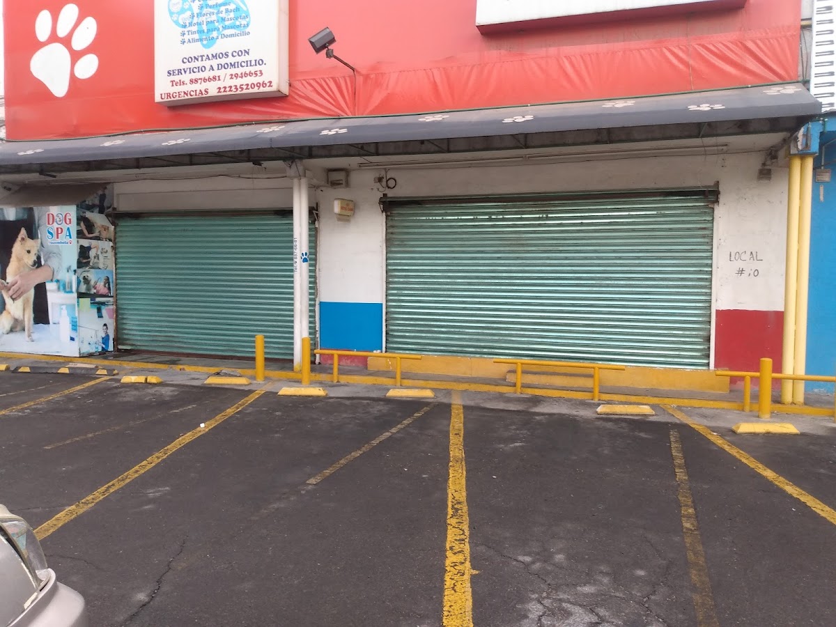 Plaza Comercial Zavaleta